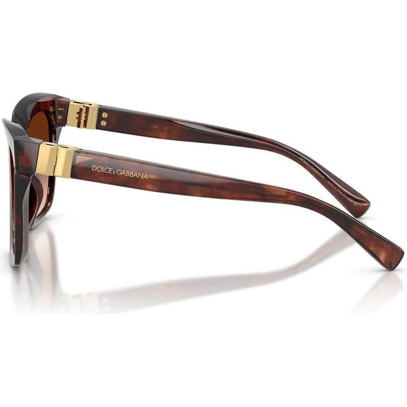 Dolce & Gabbana DG4498