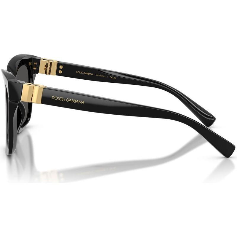 Dolce & Gabbana DG4498