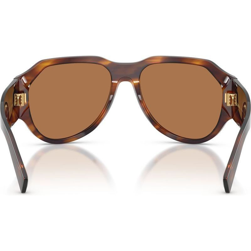 Dolce & Gabbana DG4504