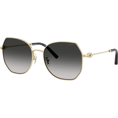 Shiny Light Gold/Grey Gradient Lenses