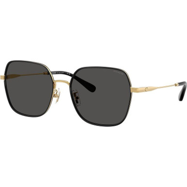 Shiny Gold and Black/Grey Lenses