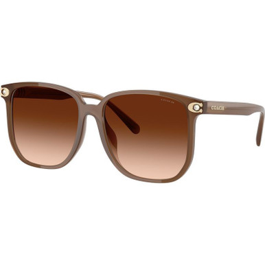 /coach-sunglasses/hc8413bd-8413bd58087456