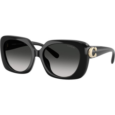 Black/Grey Gradient Lenses