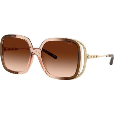 Brown Gradient/Brown Gradient Lenses