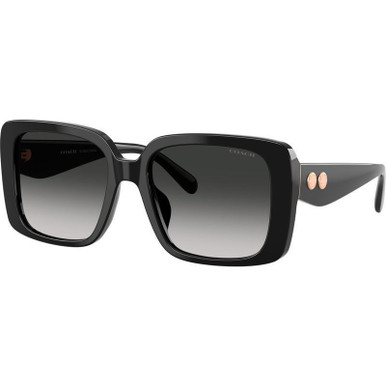 Black/Grey Gradient Lenses