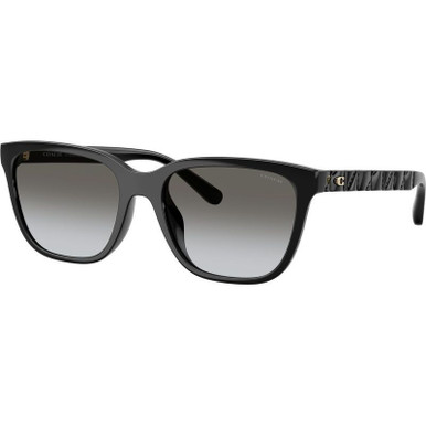 /coach-sunglasses/hc8429d-8429d50023c56