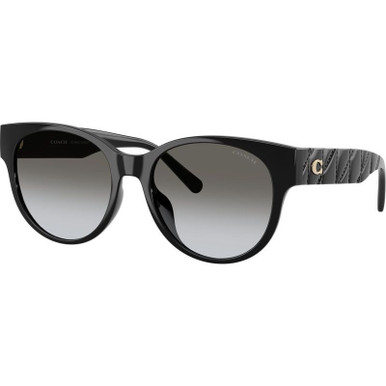 /coach-sunglasses/hc8430d-8430d50023c56