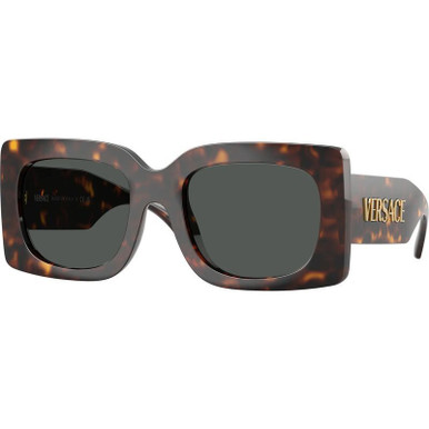 /versace-sunglasses/ve4496u-4496u1088754