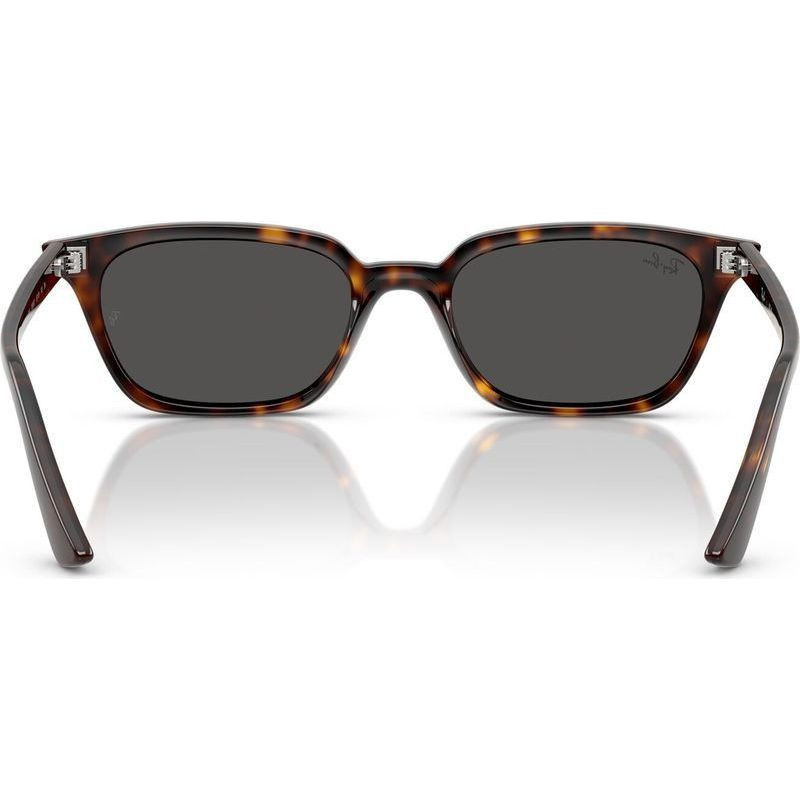 Ray-Ban Zaya RB4456F