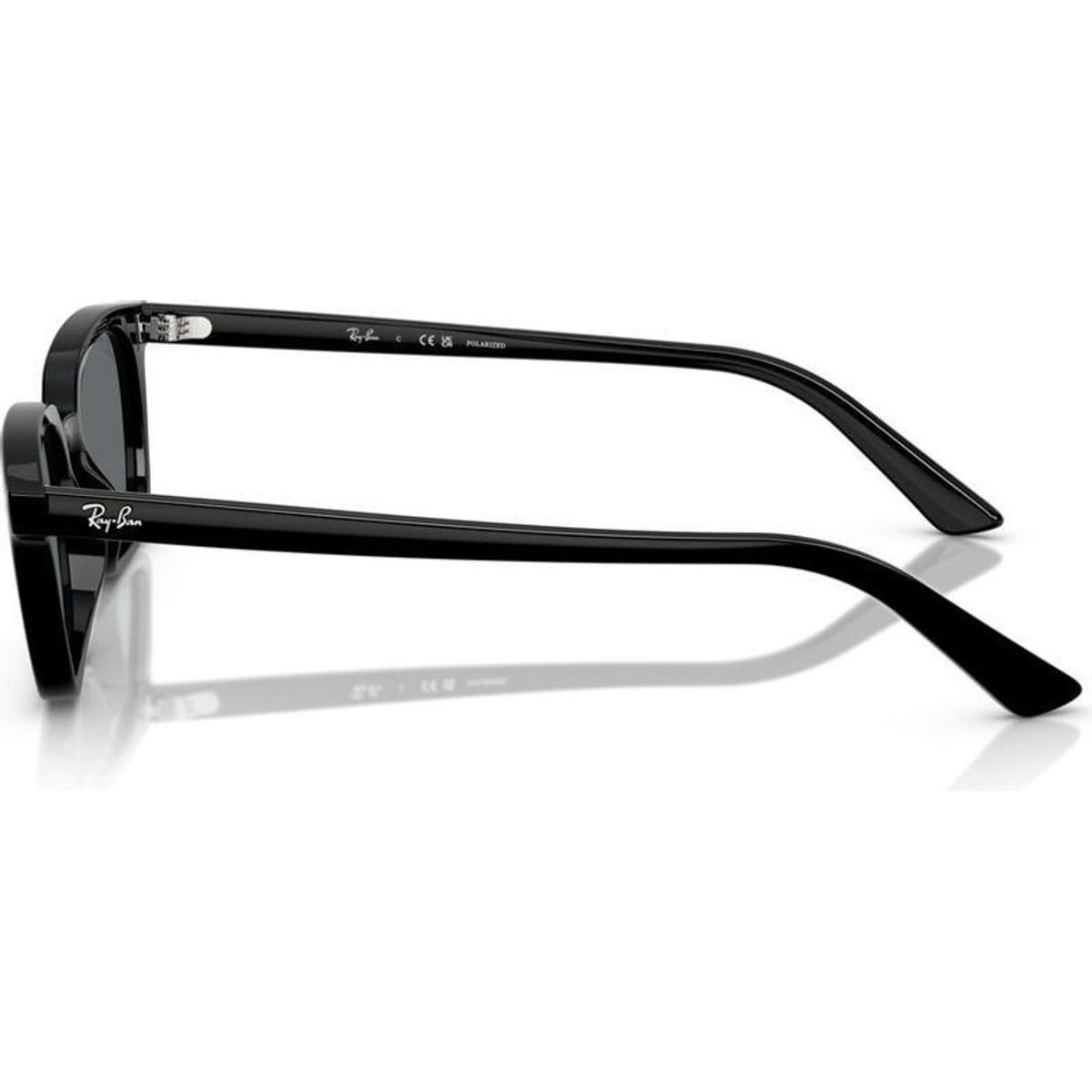 Ray-Ban Zaya RB4456F