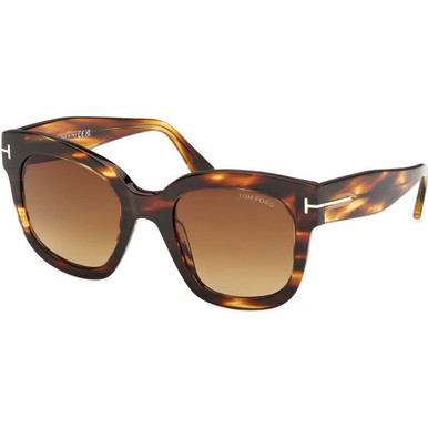 Coloured Havana/Brown Gradient Lenses