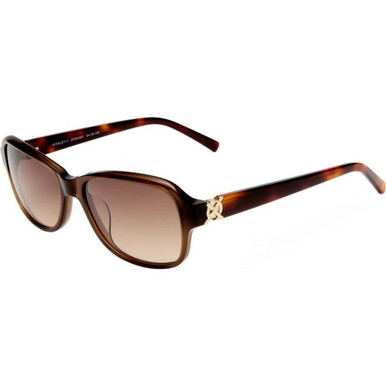 Oroton Ainsley II - Chocolate and Signature Tort/Brown Gradient Lenses