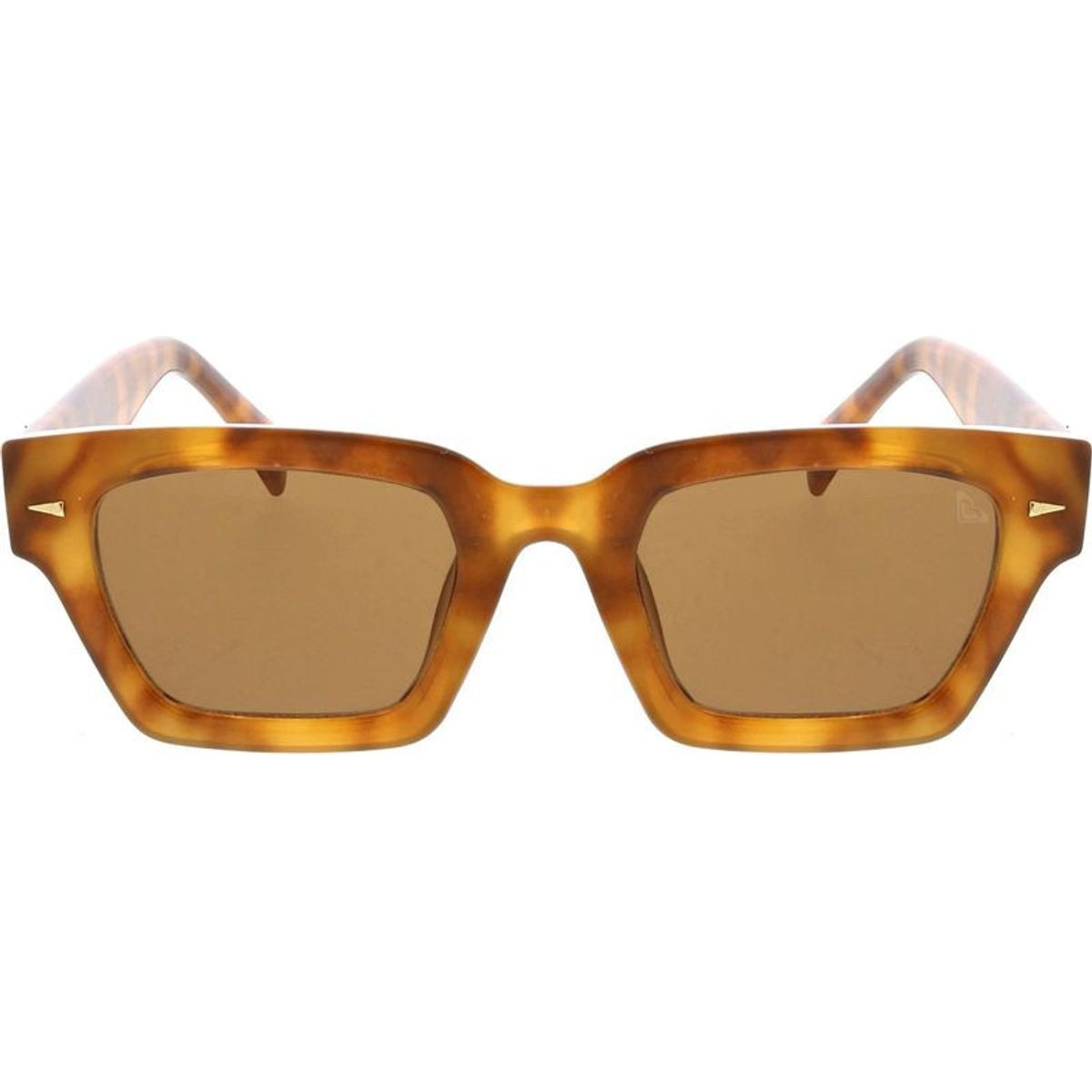 Roxy Endless Blues Milky Demi/Brown Lenses