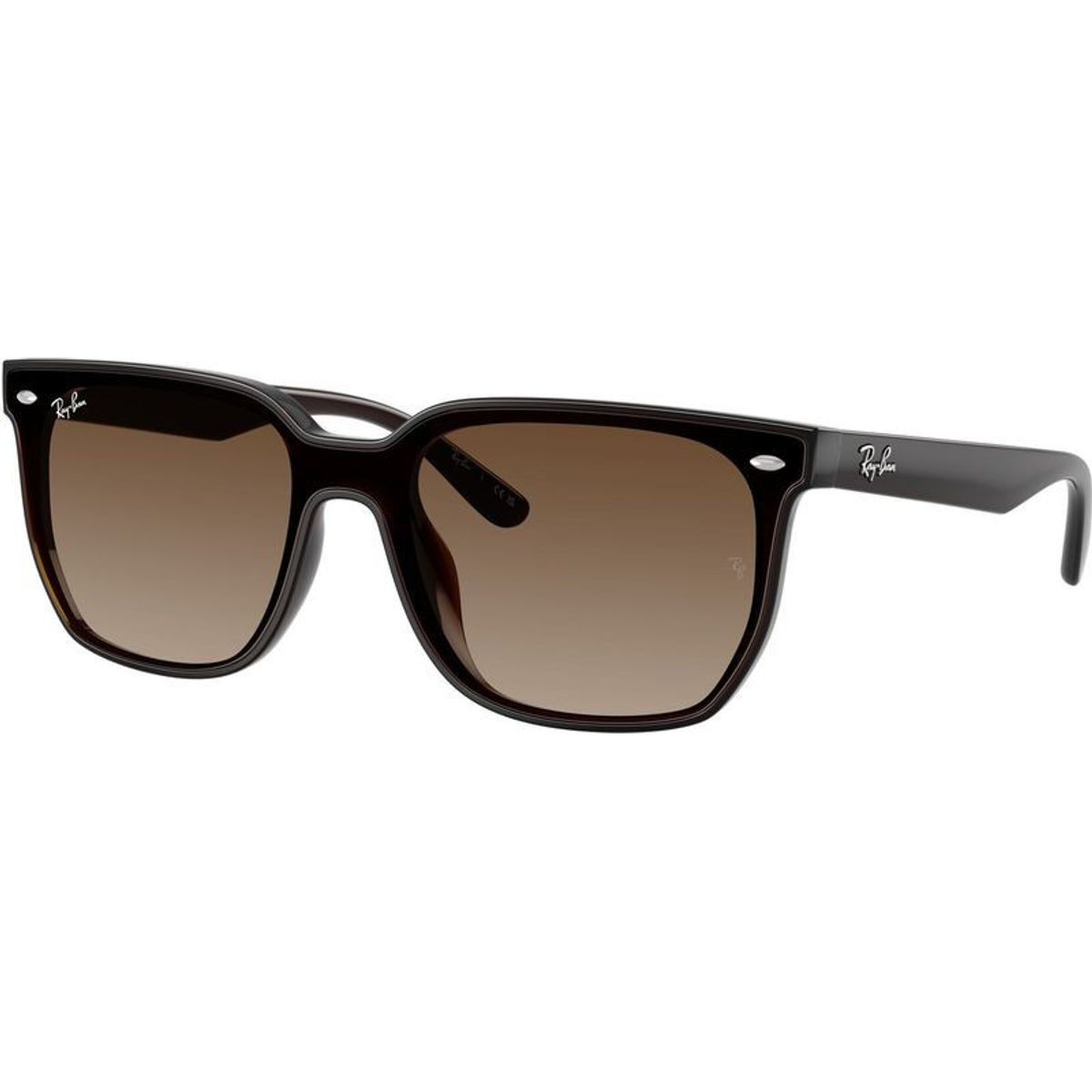 Ray-Ban RB4466D