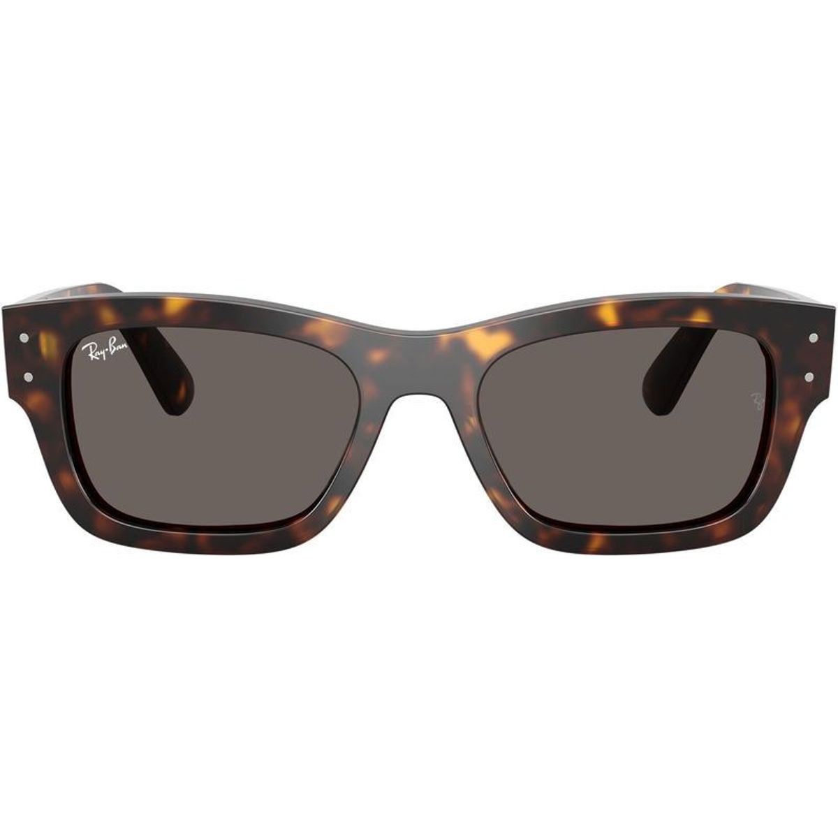 RB7683S-954S3 レイバン 偏光サングラス JOSEPH ジョセフ Ray-Ban Sunglasses RB 7683S Joseph 954/S3-53 Striped Havana