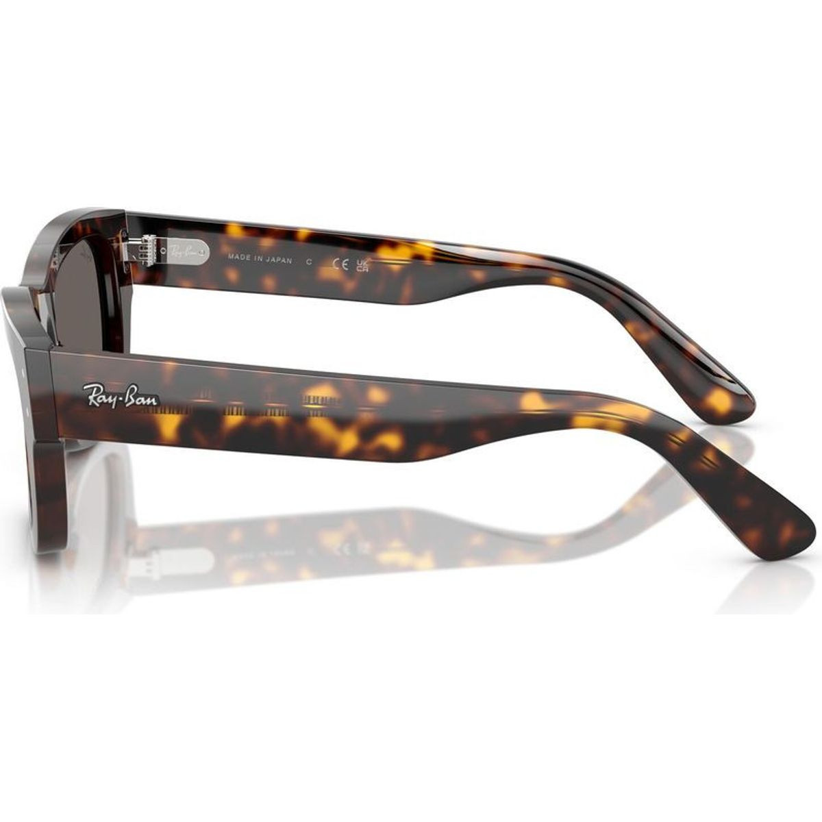 RB7683S-954S3 レイバン 偏光サングラス JOSEPH ジョセフ Ray-Ban Sunglasses RB 7683S Joseph 954/S3-53 Striped Havana