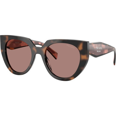 Prada PR14WS - Mauve Tortoise/Light Brown Lenses