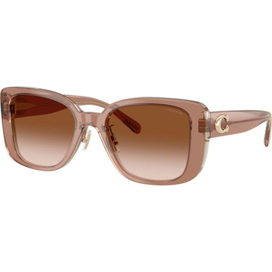 /coach-sunglasses/hc8352-835257791354