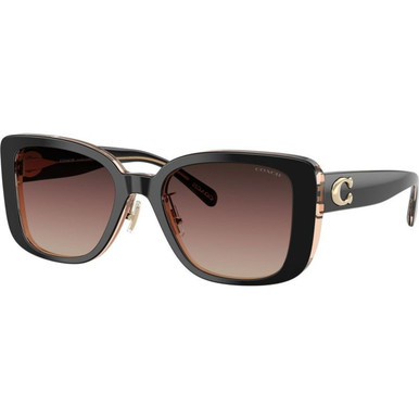 Coach HC8352 - Black/Brown Purple Gradient Lenses