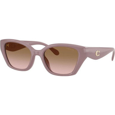 /coach-sunglasses/hc8434u-8434u54951153
