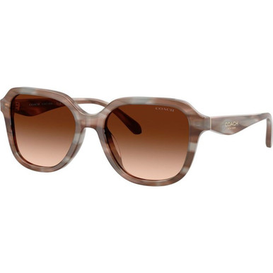 Coach HC8437F - Striated Redwood and Maple/Brown Gradient Lenses