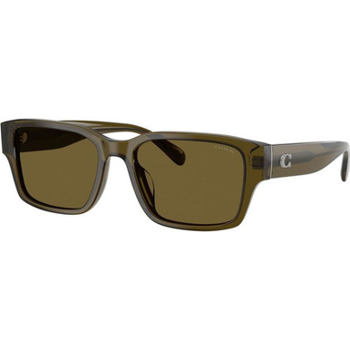 Coach HC8441U - Transparent Olive/Green Lenses