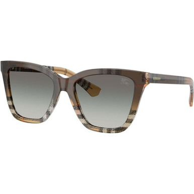 /burberry-sunglasses/be4470-447042021154