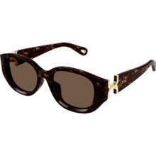 Chloe Poppy Diamond Gold and Havana/Grey Orange Gradient  display picture 3