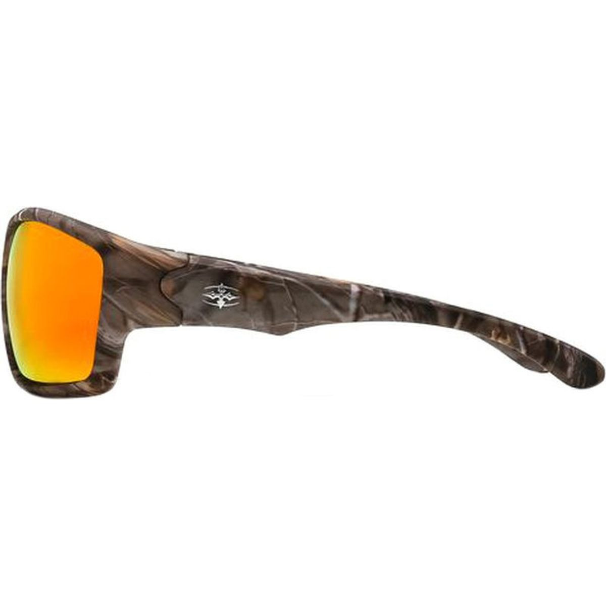 Ritual Vision The Decline