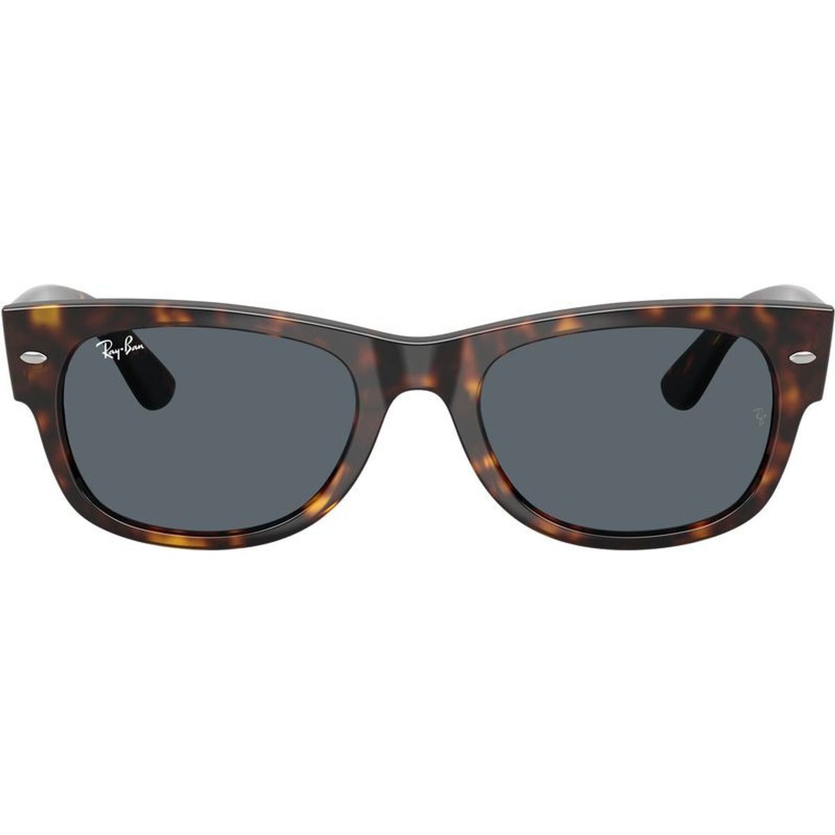 Ray-Ban Mega Wayfarer II RB0832S