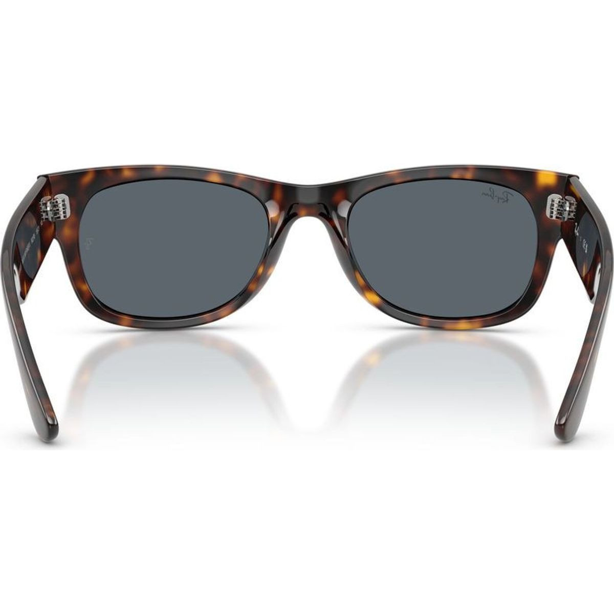 Ray-Ban Mega Wayfarer II RB0832S