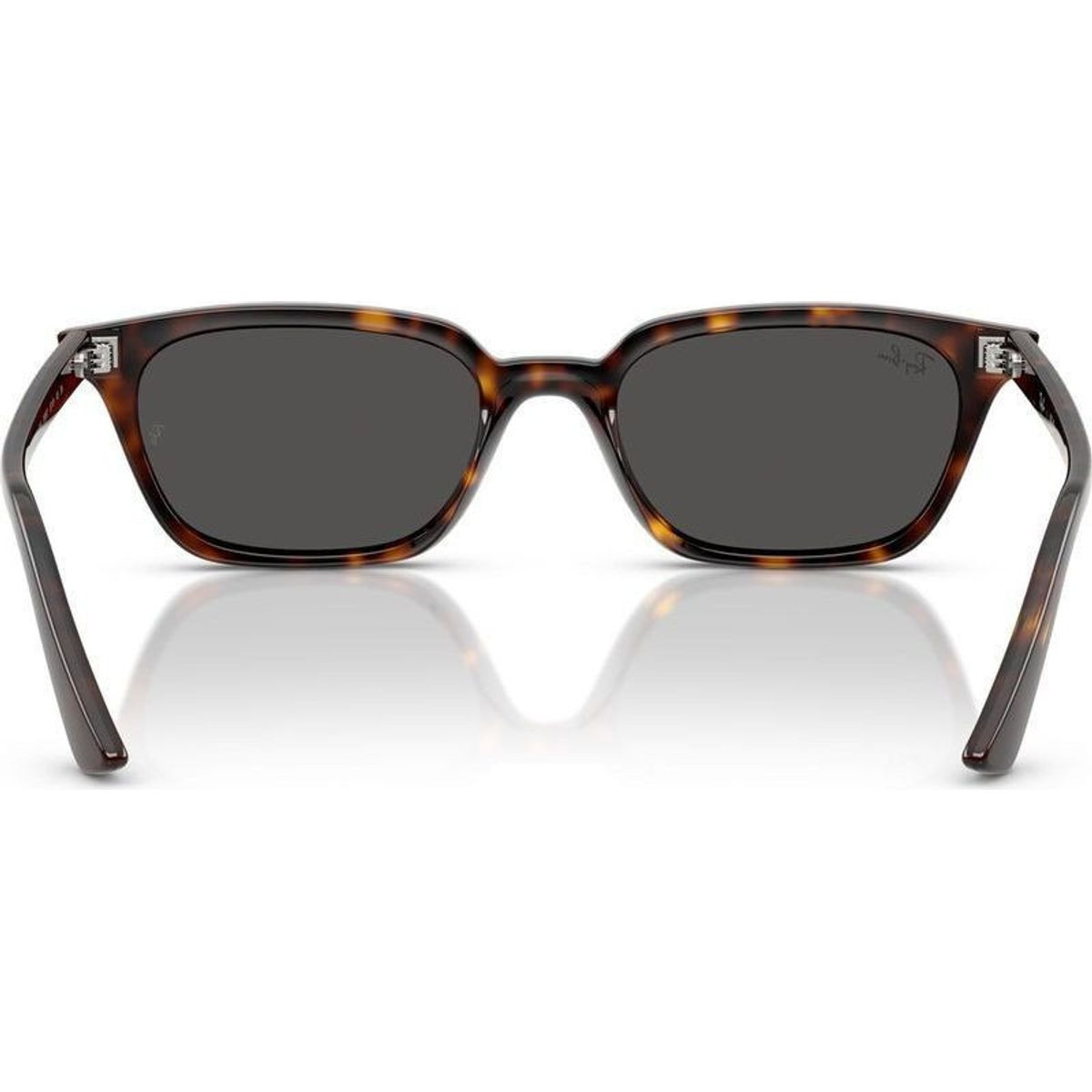 Ray-Ban Zaya RB4456