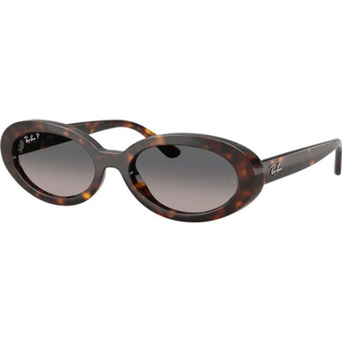 Ray-Ban RB2223 - Havana/Grey Gradient Polarised Glass Lenses