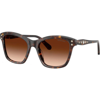 Swarovski SK6063 - Havana/Brown Gradient Lenses