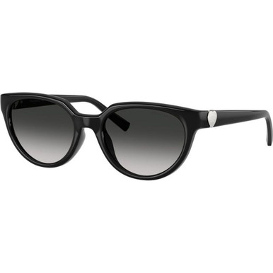 /tiffany-and-co-sunglasses/tf4256d-4256d80013c55