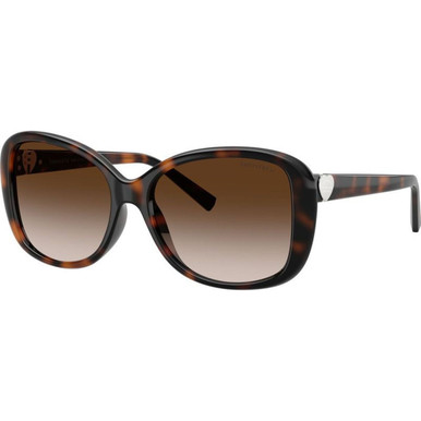 Tiffany & Co. TF4257U - Havana/Brown Gradient Lenses