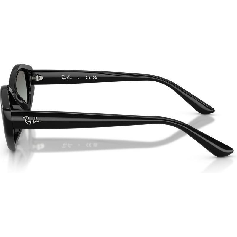 Ray-Ban RB4473D
