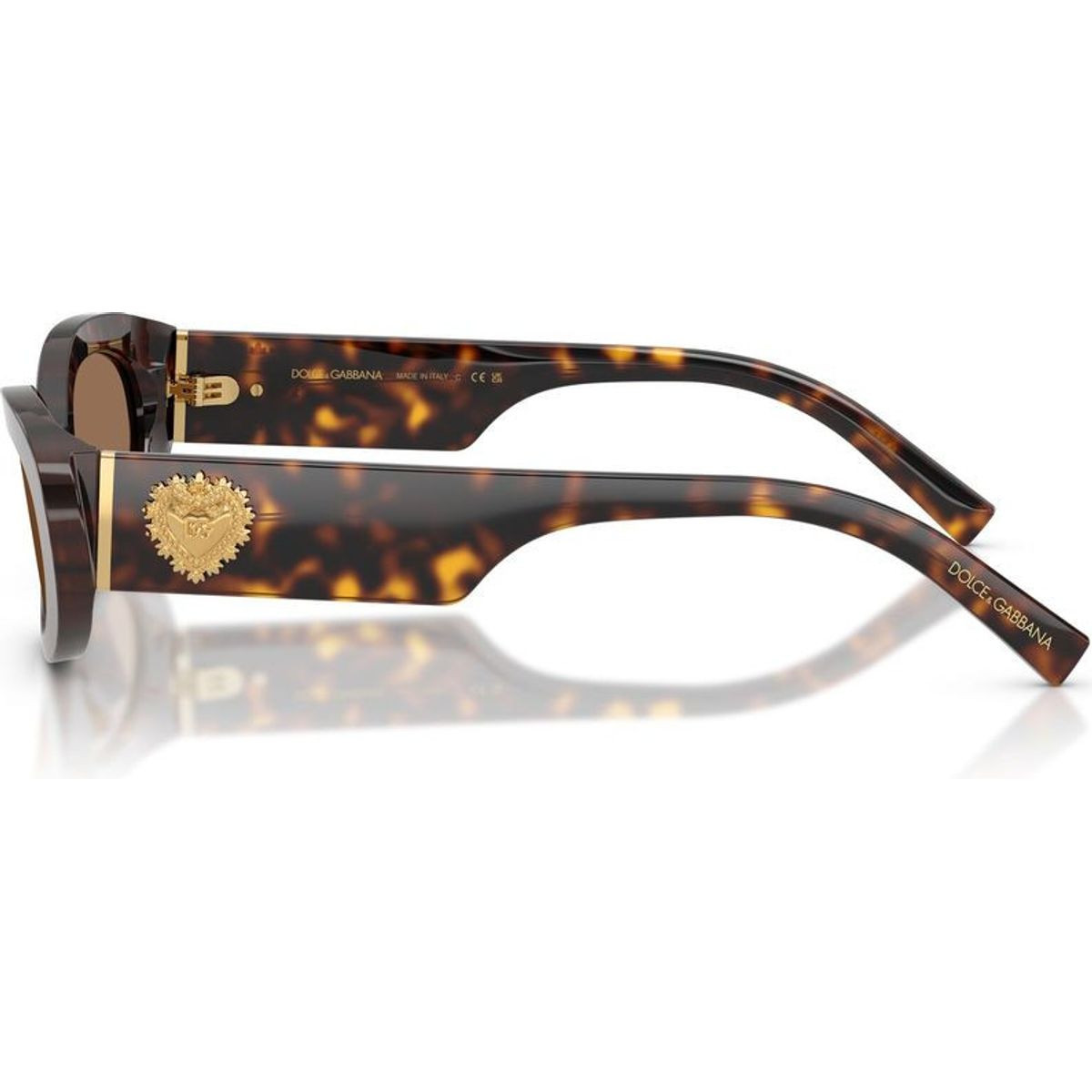Dolce & Gabbana DG4537