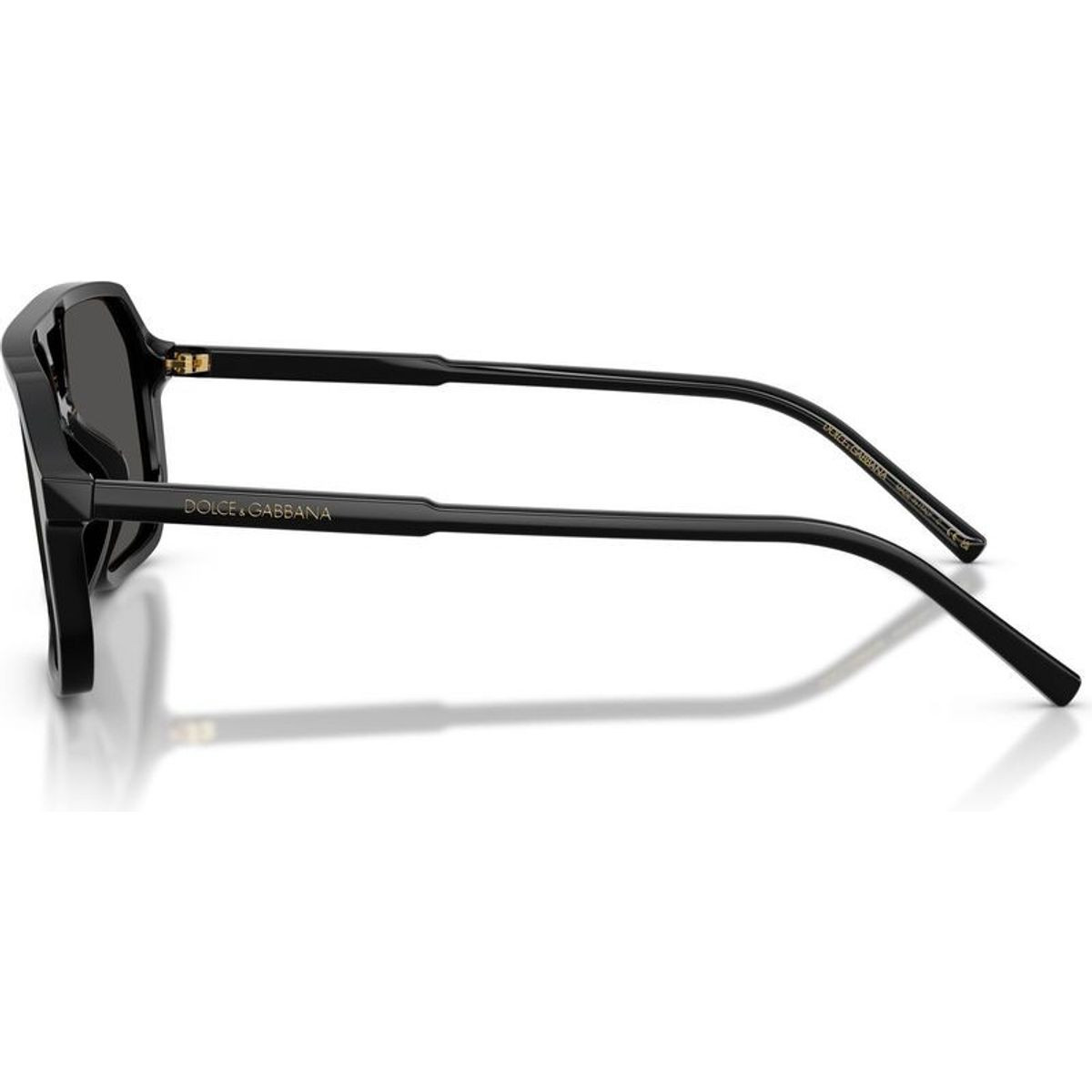 Dolce & Gabbana DG4541