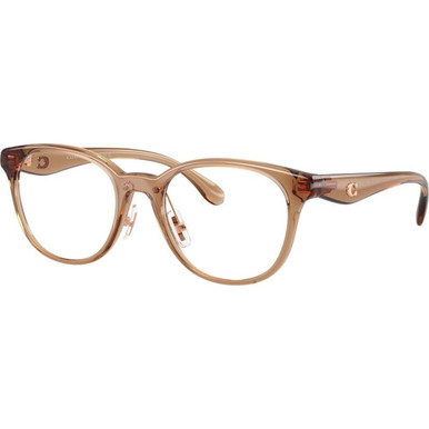 Coach Glasses HC6294D - Transparent Beige/Clear Lenses