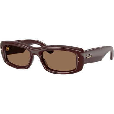 Ray-Ban RB4944 - Transparent Brown/Dark Brown Lenses