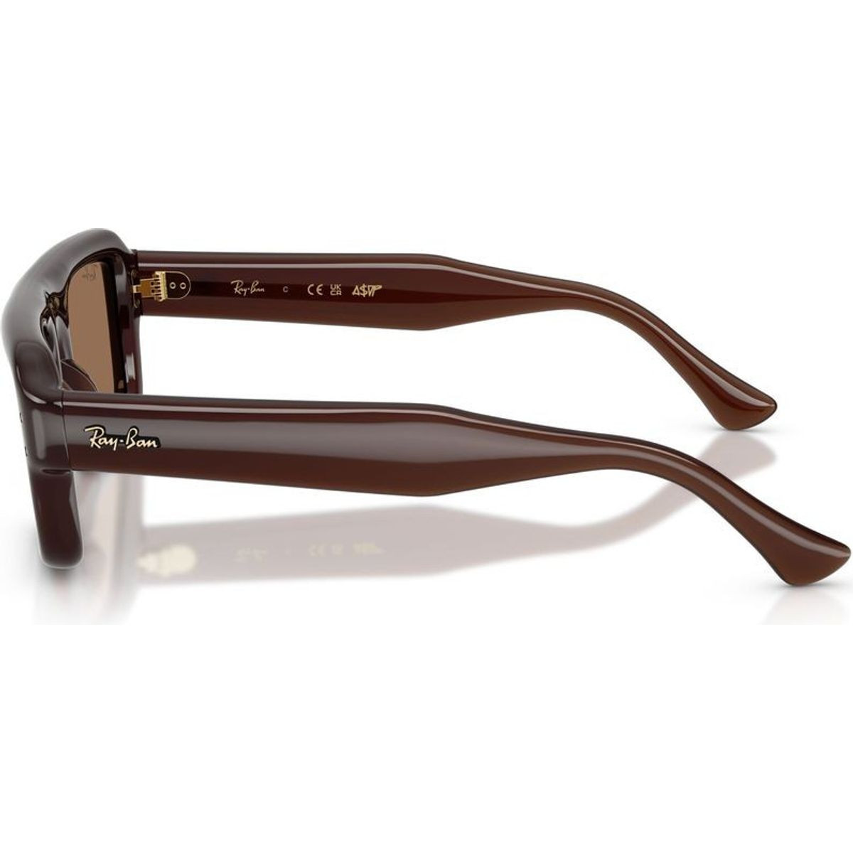 Ray-Ban RB4954