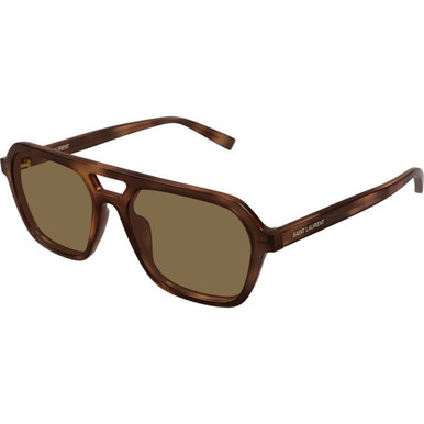 Saint Laurent SL905 - Havana/Brown Lenses