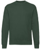 Bottle Green*