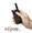 Motorola CLS compact portable business two-way radios and headsets are designed with business productivity in mind - providing functionality at the push of a button. Great for Hospitality, Retail and Doctors Office Applications.