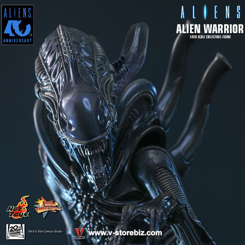 Hot Toys MMS898 Aliens - Alien Warrior - V Store Collectibles