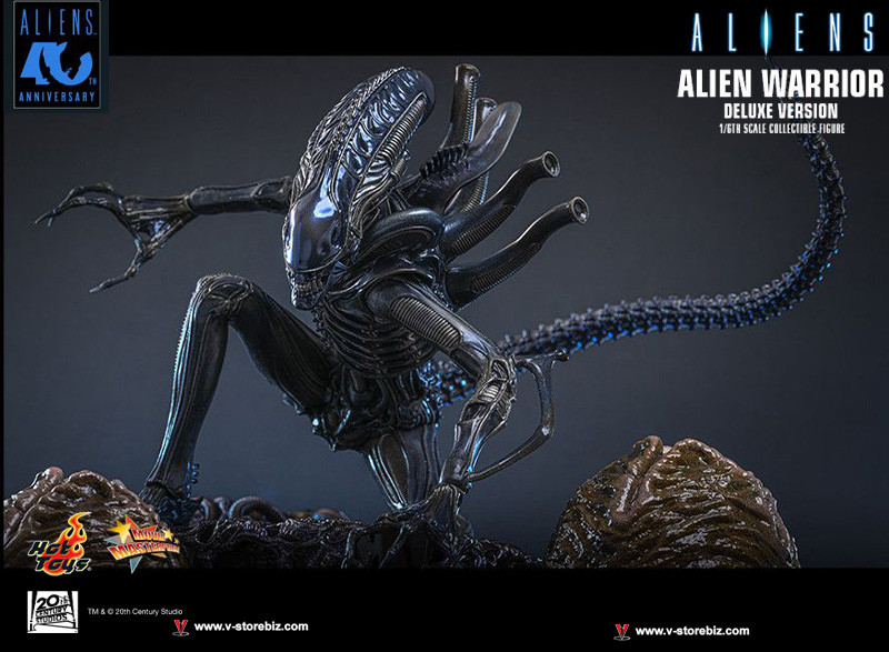 Hot Toys MMS899 Aliens - Alien Warrior (Deluxe Version) - V Store