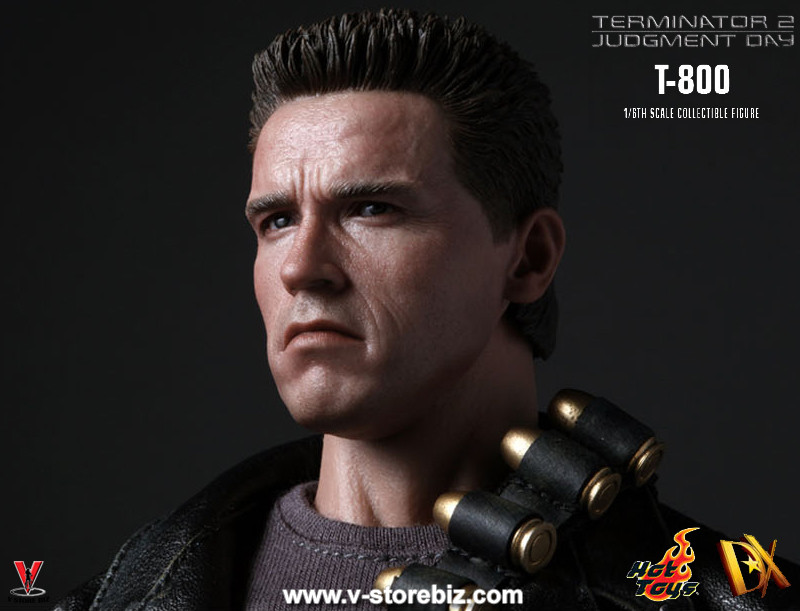 Figurine Hot Toys T-800 Terminator 2 - Tee Gris 1/6, Occasion Mais Authentique