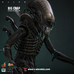 Hot Toys MMS826B Alien Big Chap (Special Edition) - V Store