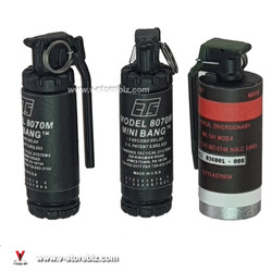 GA1010S Bravo 0-7 Flash Bang